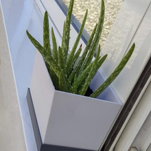 simple rectangular pot small plants cactus plate potsherd gardener aloe see 3d print model - Mito3D