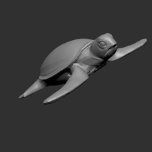 simple tortue de mer divers la 3d print model - Mito3D