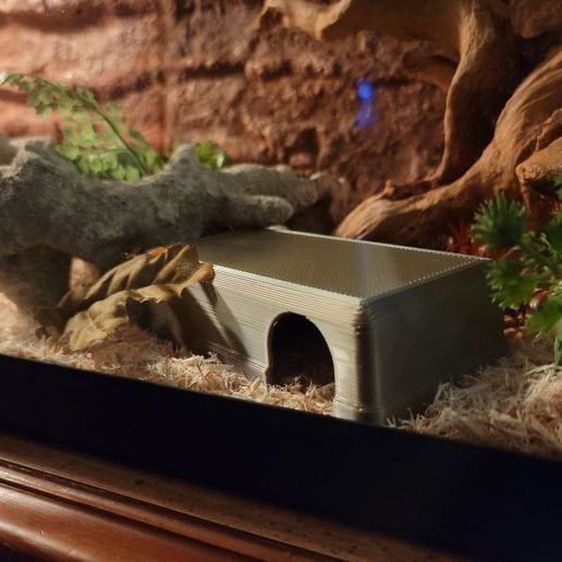 simples serpente esconde caverna rã gecko ocultar casa cabana lagarto réptil viveiro animais estimação 3D print model - Mito3D