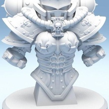 kız kardeş Sessizlik büst 3d Yazdır model oyun Warhammer 40k uzay denizi savaşın Şafağı yazdırılabilir heykel savaş oyunu kadın vücut şövalye Vesika gümüş zırh minyatürler figürinler 3d print model - Mito3D
