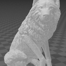 sentado lobo 3d print model - Mito3D
