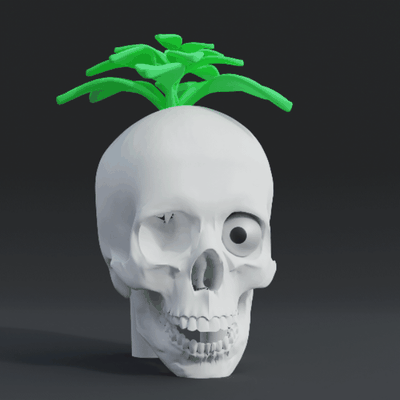 skeleton nature's toccare on viso of morte arte scheletro cranio natura pianta buio estetico halloween verde surreale fantasie arredamento macabro gotico scultura spaventoso 3d modello organico vita botanico 3d print model - Mito3D