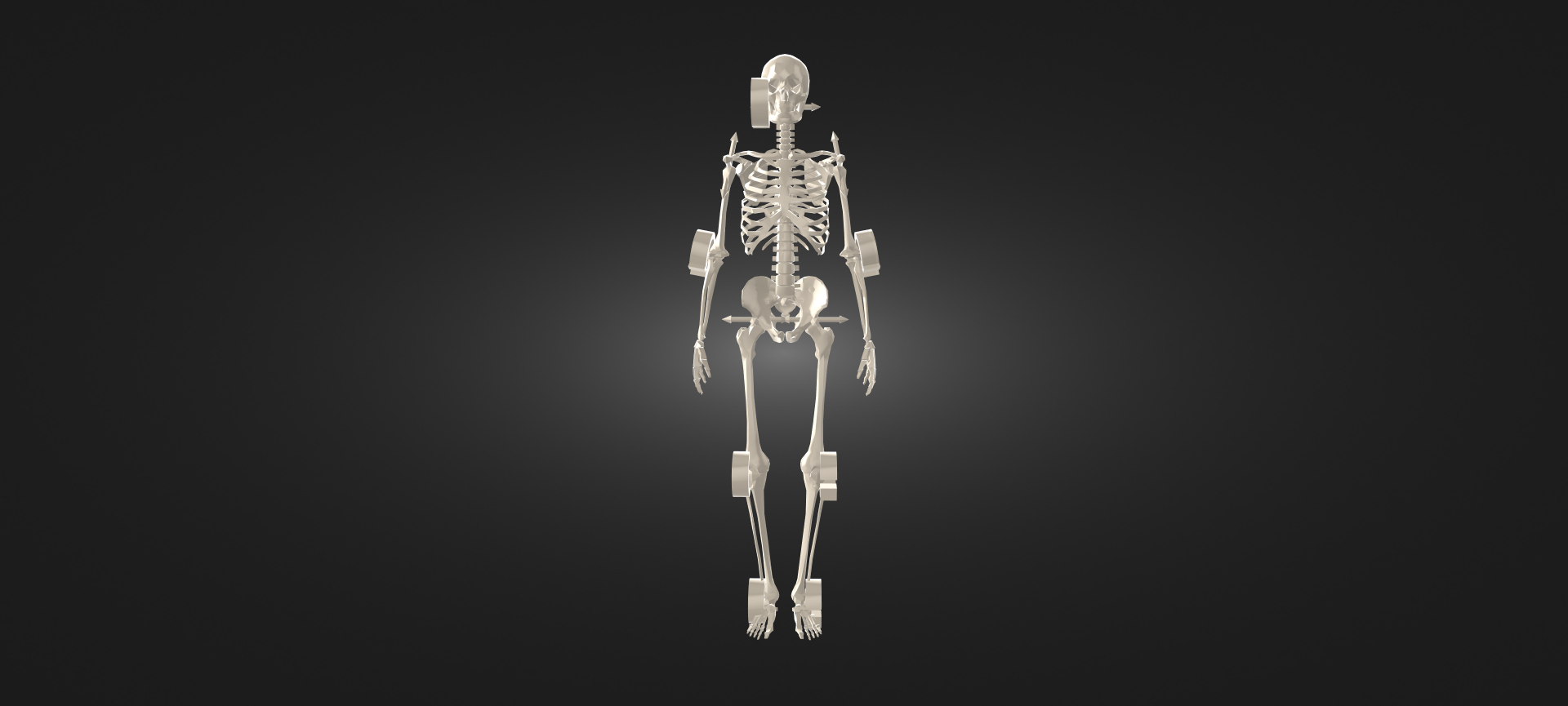 skeleton 3d printing stl toy halloween 3D print model - Mito3D