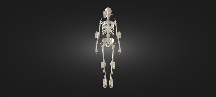 scheletro scheletro 3d stampa stl giocattolo Halloween 3d print model - Mito3D