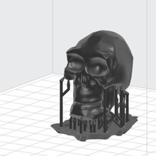skeleton art 3d print model - Mito3D