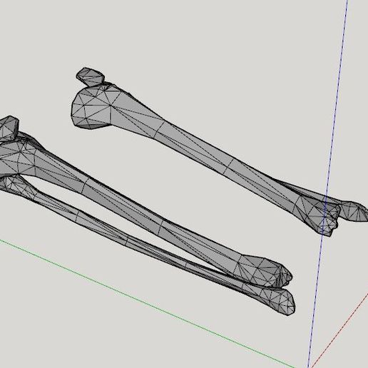 squelette Humain oscar Masculin 3D print model - Mito3D