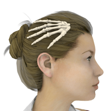 esqueleto cabello clips Moda huesos manos 3d print model - Mito3D
