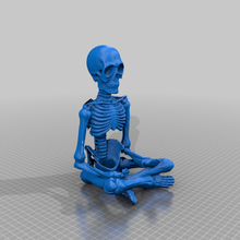 skeleton model generated revopoint pop  education medicine skeleton skull biology
