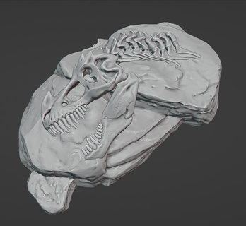 squelette rex dispersion terrain Jeu hommes lézards crâne dinosaure wargaming désert table 3d print model - Mito3D