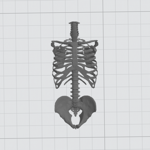 skeleton torso warhammer horror science 3D print model - Mito3D