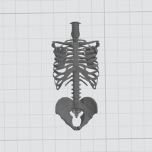 esqueleto torso martillo guerra horror Ciencias 3d print model - Mito3D