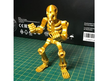 squelette dégroupé fabriqué 3d print model - Mito3D