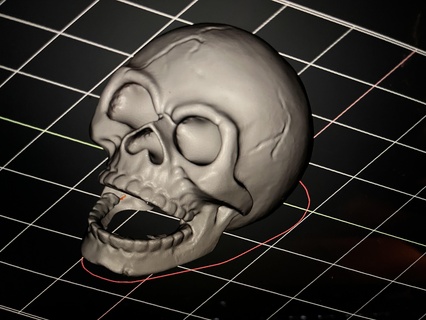skelet halloween 3d print model - Mito3D