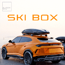 Ski Box Druckguss rc Dach thule Ladung Gestell Skibox Aventador Olson rs6 audi r8 Himmel Schnee Urus Lamborghini Huracan Landrover 3d print model - Mito3D