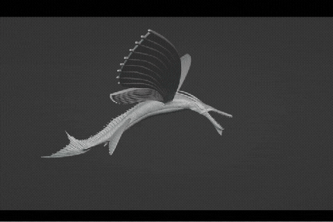 skimwing avatar james cameron animals alien films pandora na'vi ikran banshee akula 3d print model - Mito3D