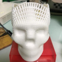 skull various 3d print model - Mito3D