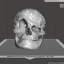le crâne art sculpture 3d print model - Mito3D