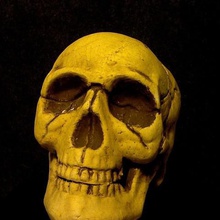 skull art makerbotdigitizer scan 3d print model - Mito3D