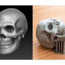 Schädel verschiedene menschlicher Anatomie Kopf 3d print model - Mito3D