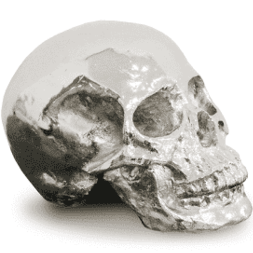 skull art 3D print model - Mito3D