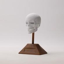 skull bone bust decoration art toy 3d print model - Mito3D