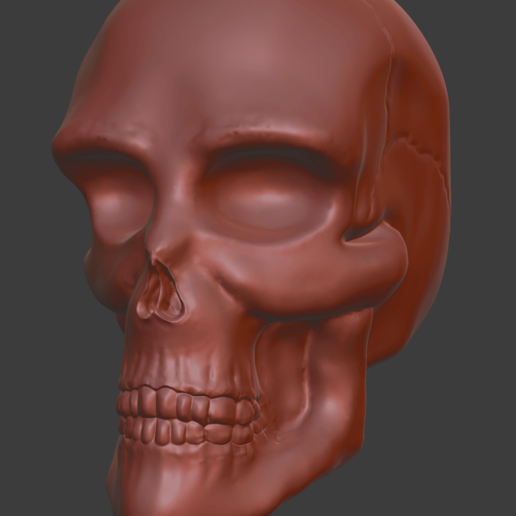 skull art anatomy 3D print model - Mito3D
