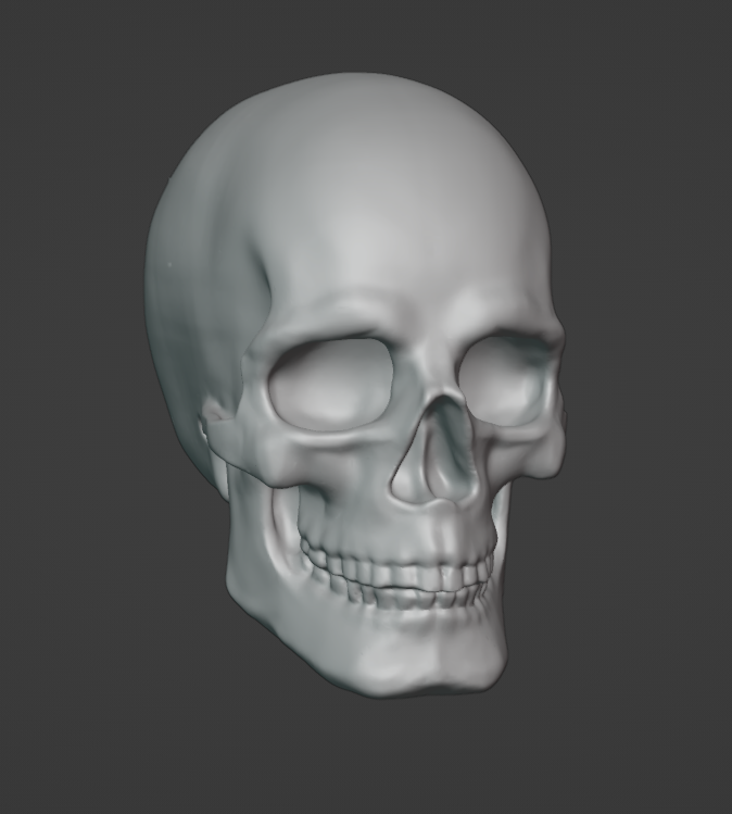 cráneo Arte humano personas hueso imprimible stl Víspera Santos 3D print model - Mito3D