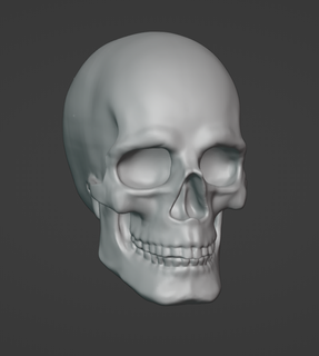 skull Art skull human people bone cranium printable stl halloween  3d print model - Mito3D