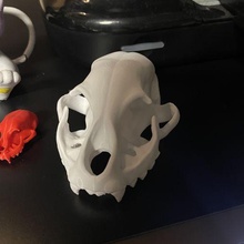skull cat feline 3d print model - Mito3D