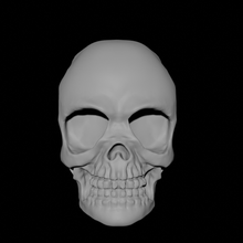 crânio 3d print model - Mito3D
