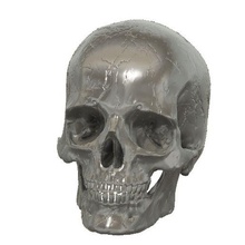 crâne 3d print model - Mito3D