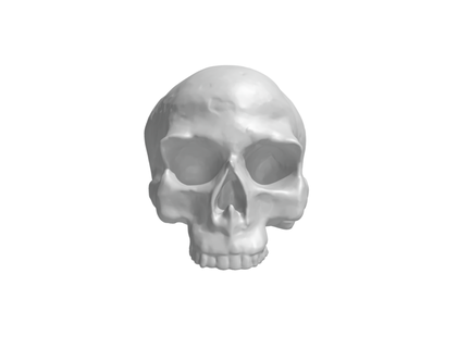 cranio arte anatomia cattivo diavolo persona umano progetto progettista modello riferimento 3d print model - Mito3D