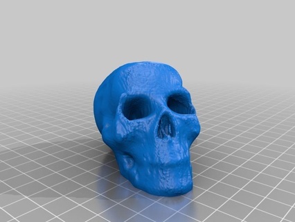 skull makerbotdigitizer scan art 3d print model - Mito3D