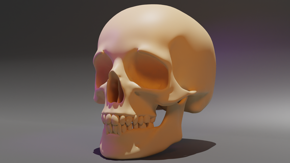 cranio umano stampato 3d anatomia modellazione design resina scansione digitale realismo dettaglio struttura ricostruzione prototipo stampante tecnologia scheletro 3d print model - Mito3D
