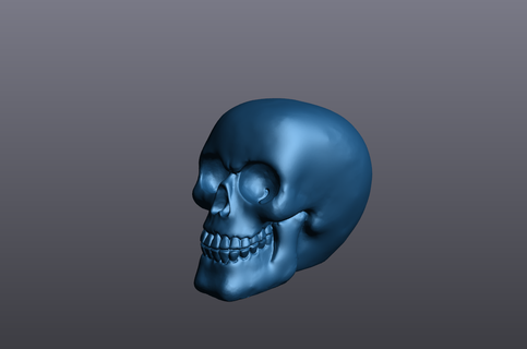 skull halloween horror style birthday 3d print model - Mito3D