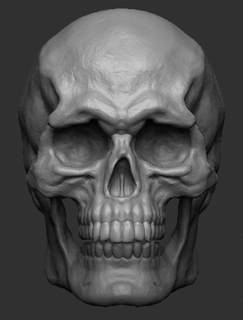 skull cranium mandible zbrush 3d print model - Mito3D