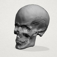 skull 01 various house human people characters miniatures figurines statue sculpture historic architecture religion decor worship holy michelangelo jesus christian church 3d print model - Mito3D