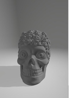 crâne 1 3d print model - Mito3D
