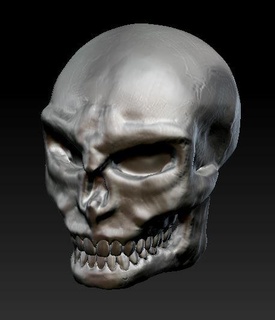 skull 2 head anatomy bone 3d print model - Mito3D