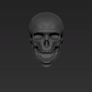skull 3d head mcfarlane toys skeleton model 3d print model - Mito3D