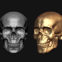 crânio modelo 3d anatomia imprimir printable 3dprintable cabeça corpo sexo masculino feamle humanos mandíbula quadro dentes osso anatômica homem boca coluna vertebral personagem 3d print model - Mito3D