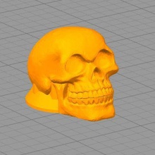 cráneo ampli perilla gadget el 3d print model - Mito3D