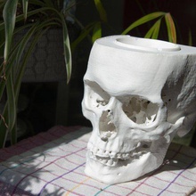 skull ashtray art scans replicas candy bowl decorative ct scan 3d print model - Mito3D