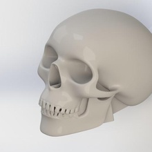 skull bank home 3d print model - Mito3D
