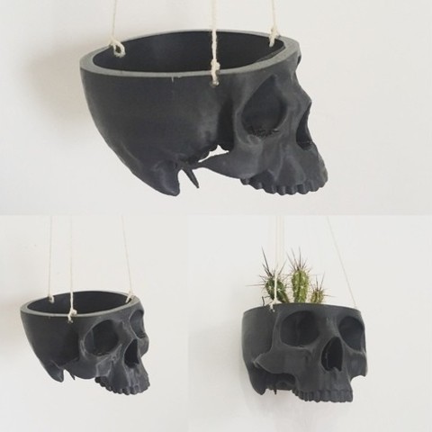 skull bowl remix into hanging planter pot home gothic decor design garden houseplants human planters plant pots maceta 3D print model - Mito3D