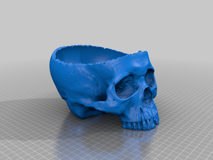 skull bowl widened 3d printing 3d print model - Mito3D