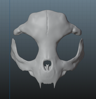 cranio gatto maschera pacco stile Halloween cosplay 3d print model - Mito3D