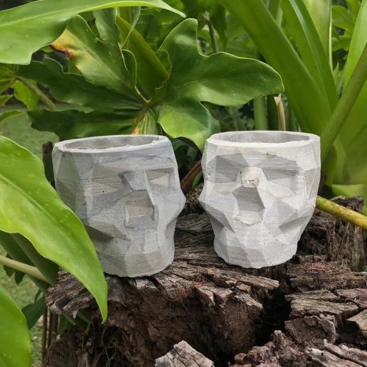crâne de béton pot moule art cactus plantes la jardinière le les pots 3D print model - Mito3D