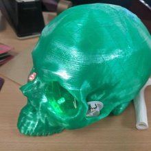 skull ct scan w brain cavity various biology mandible cranium 3d print model - Mito3D
