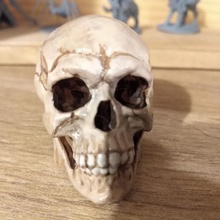 skull design art toy 3d print model - Mito3D